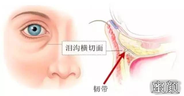 https://img.miyanlife.com/mnt/timg/210718/1H203K12-2.jpg