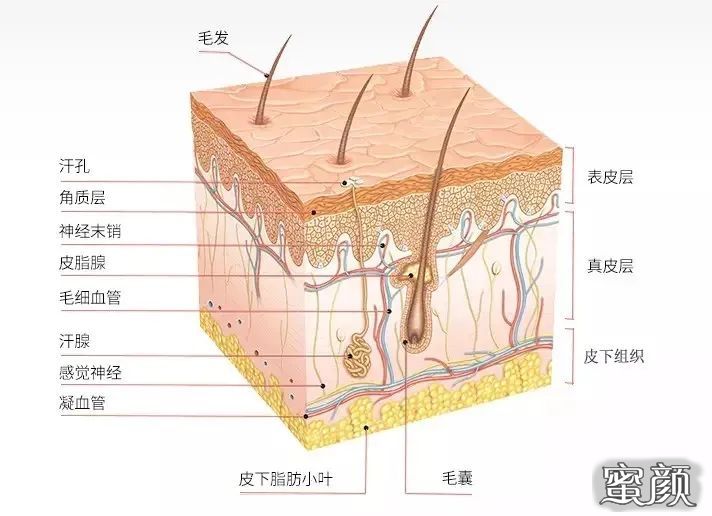 案例图片