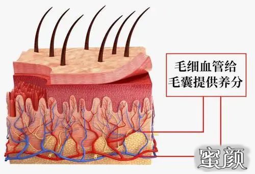 案例图片