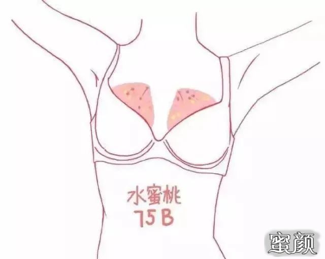 https://img.miyanlife.com/mnt/timg/210731/1G34160U-1.jpg