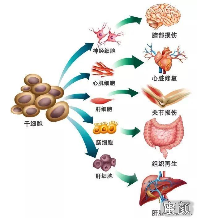 案例图片