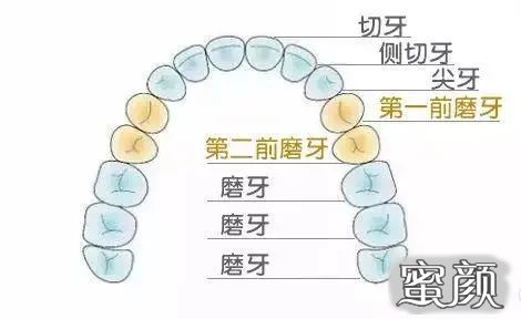 案例图片