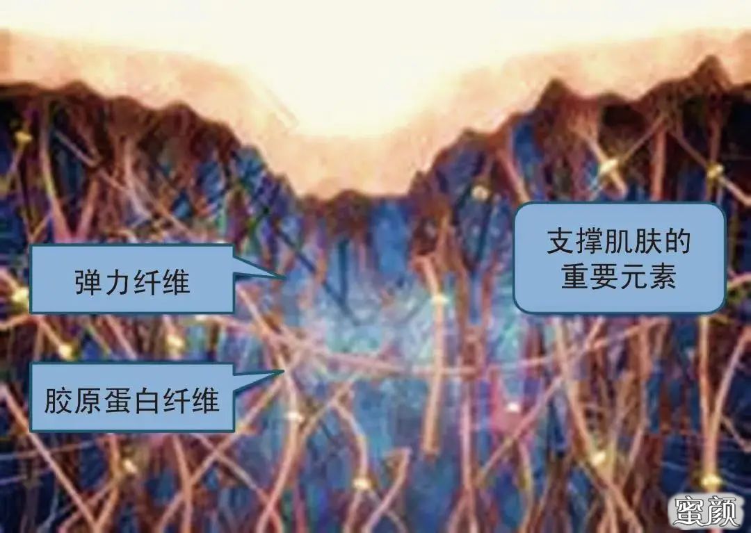 https://img.miyanlife.com/mnt/timg/210807/21254Q406-5.jpg