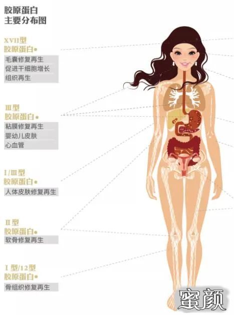 https://img.miyanlife.com/mnt/timg/210808/211H2O47-2.jpg