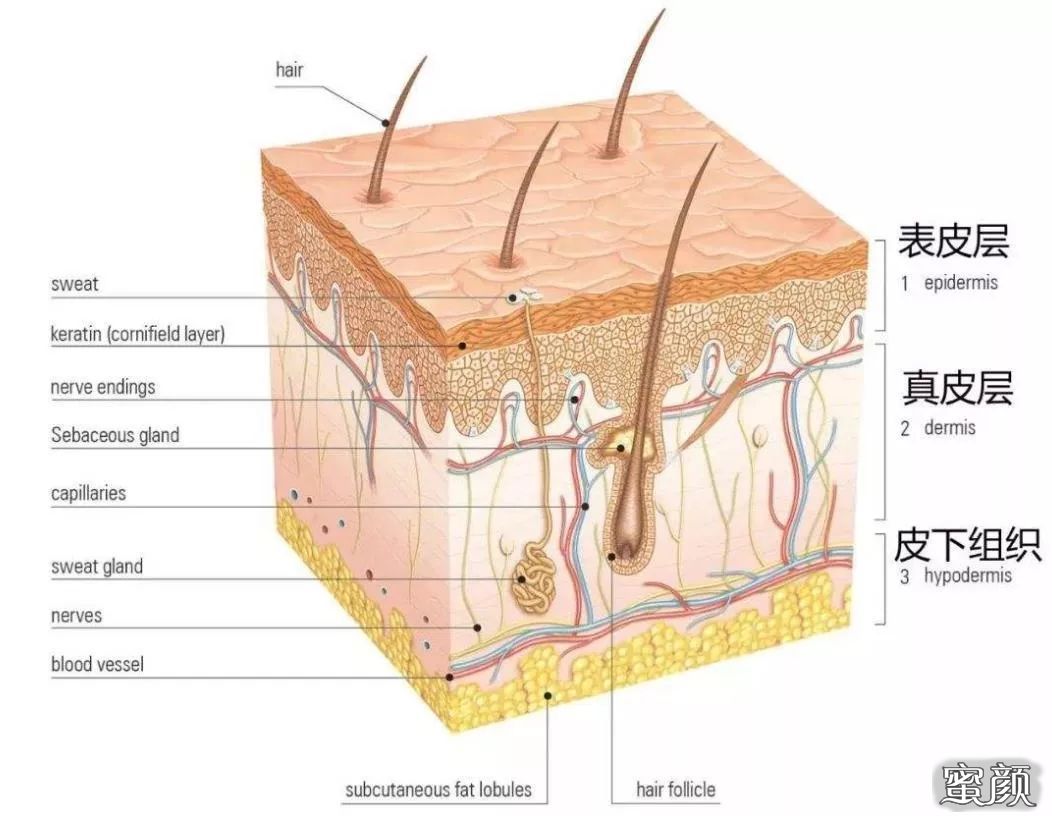 https://img.miyanlife.com/mnt/timg/210809/1933541319-1.jpg