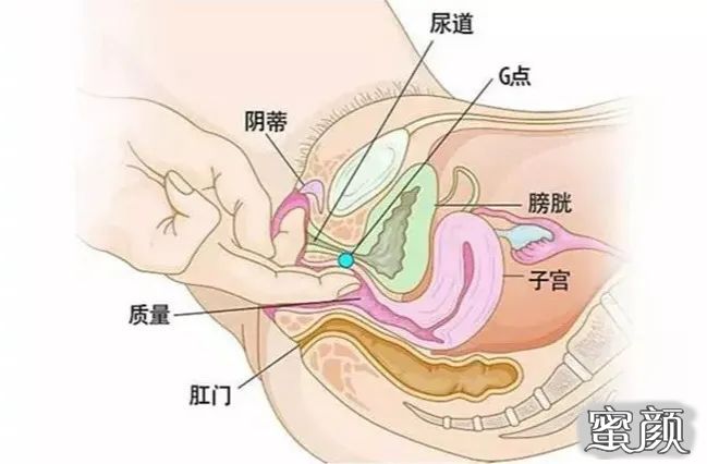 案例图片