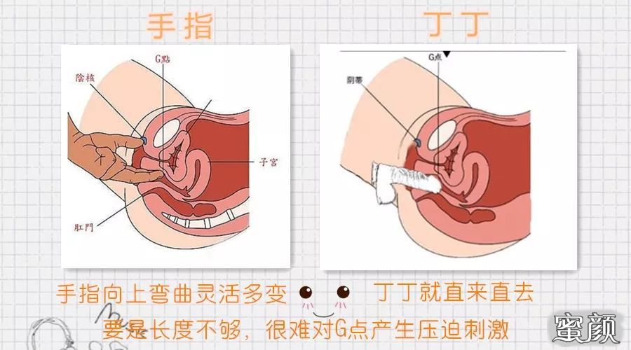 案例图片