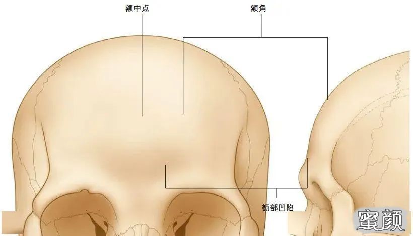 https://img.miyanlife.com/mnt/timg/210812/194A63O2-1.jpg