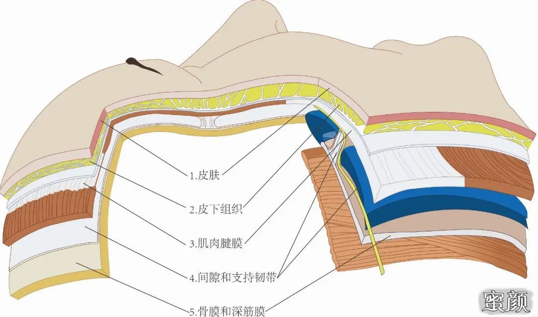 https://img.miyanlife.com/mnt/timg/210816/19215J9A-1.jpg