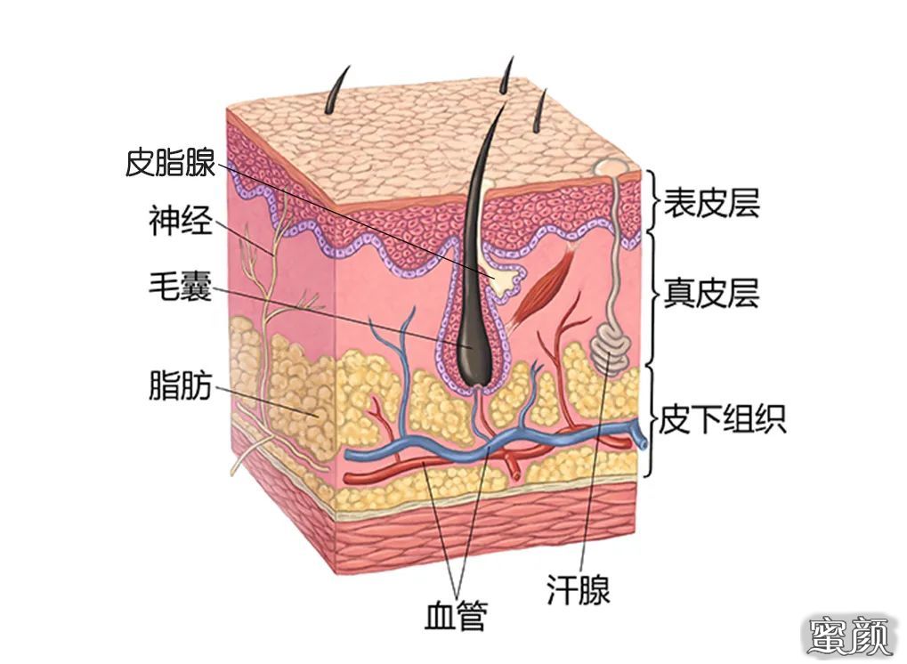 案例图片