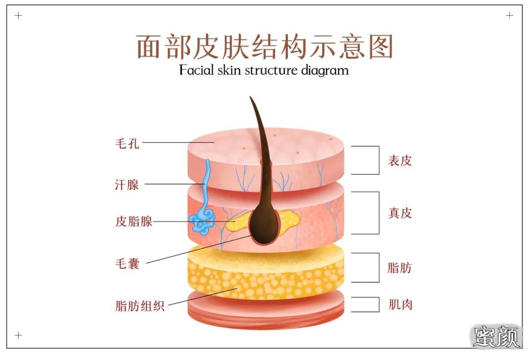 https://img.miyanlife.com/mnt/timg/210925/0S225M62-3.jpg