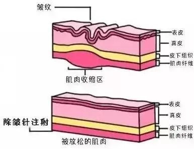 案例图片