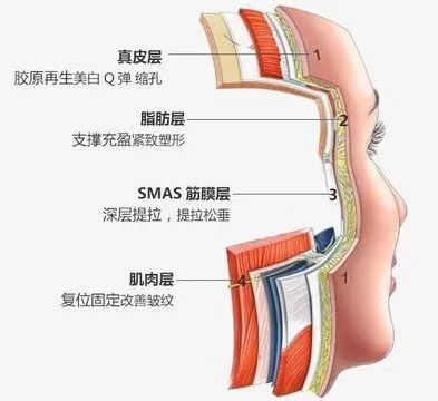 案例图片