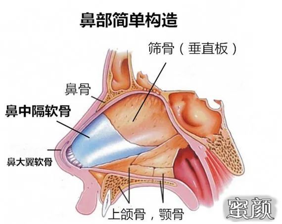 案例图片