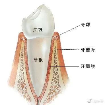 案例图片