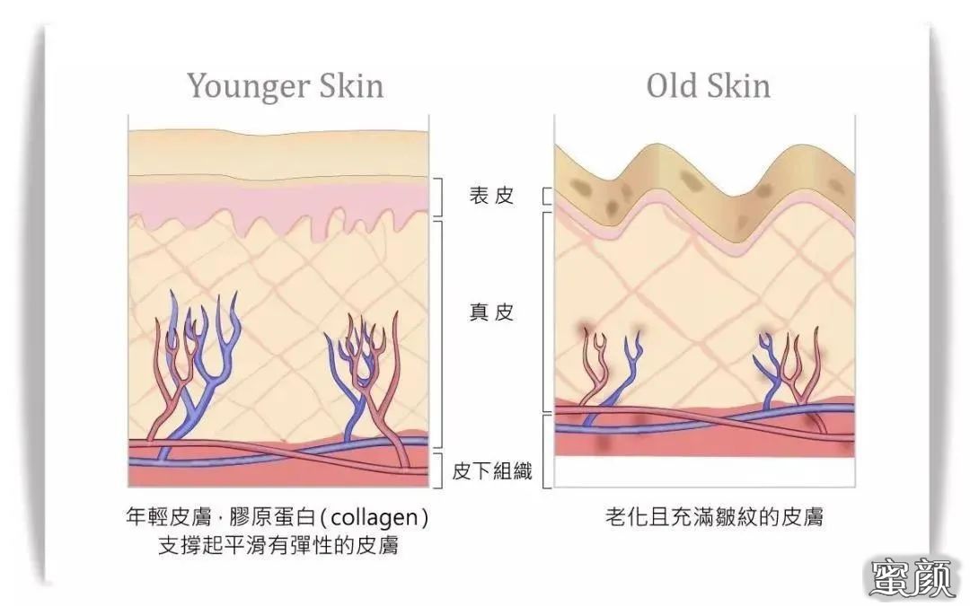 https://img.miyanlife.com/mnt/timg/211113/2301361051-3.jpg