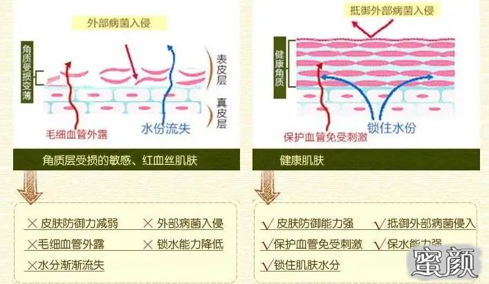 案例图片