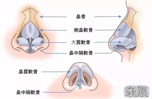 案例图片