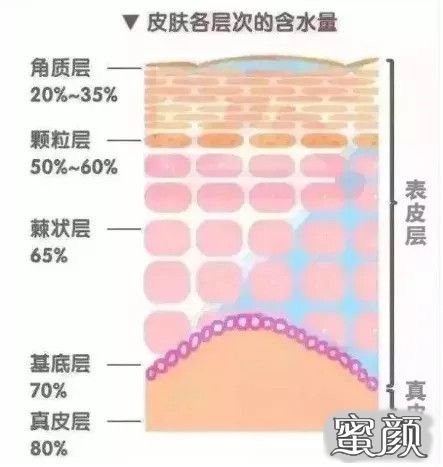 https://img.miyanlife.com/mnt/timg/211221/21202945M-1.jpg