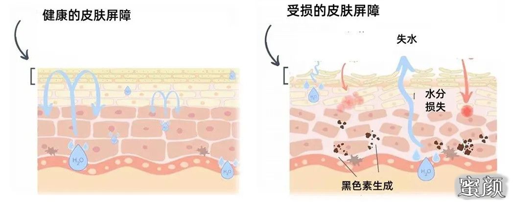 https://img.miyanlife.com/mnt/timg/211221/21203132c-3.jpg