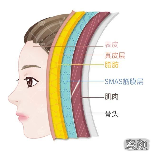 https://img.miyanlife.com/mnt/timg/211231/1I5225207-0.jpg