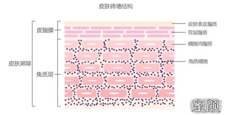 案例图片