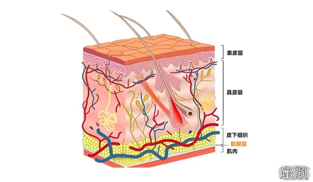 案例图片