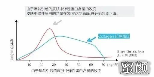 案例图片