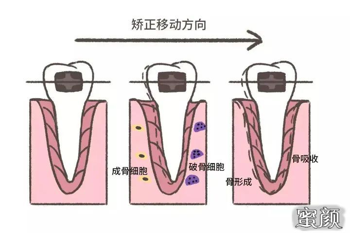 案例图片