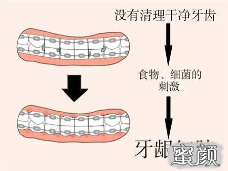 案例图片