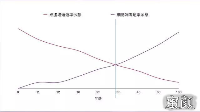 案例图片