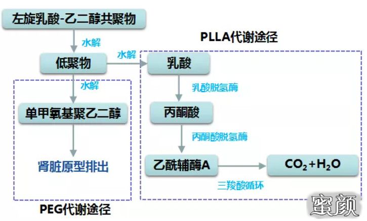 https://img.miyanlife.com/mnt/timg/220614/05561A018-1.jpg