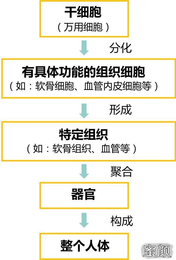 案例图片