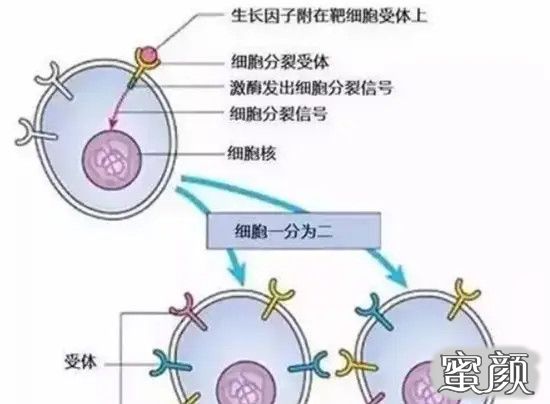 案例图片