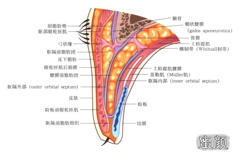 案例图片