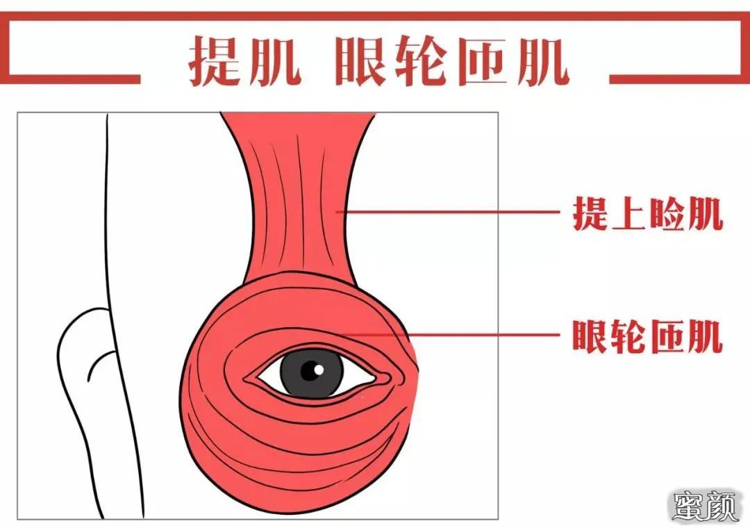 案例图片