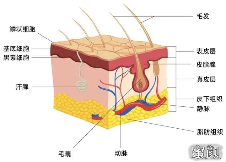 案例图片