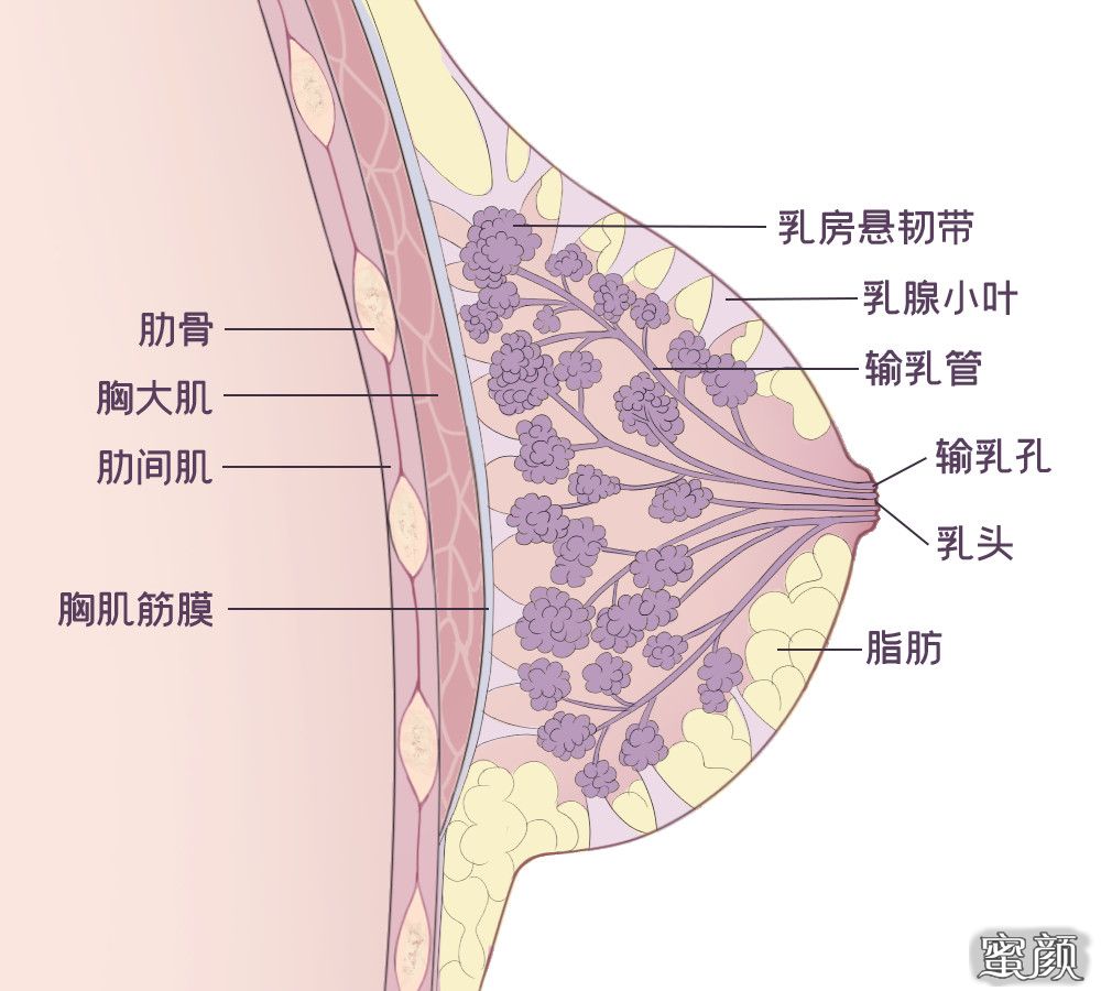 案例图片