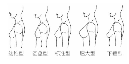 案例图片