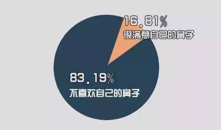 案例图片