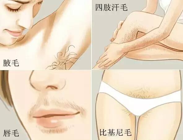 https://img.miyanlife.com/timg/160608/01313153Q-6.jpg