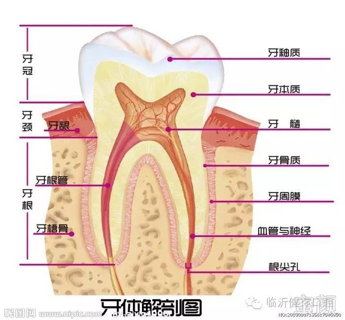 https://img.miyanlife.com/timg/160702/1GKGX8-0.jpg