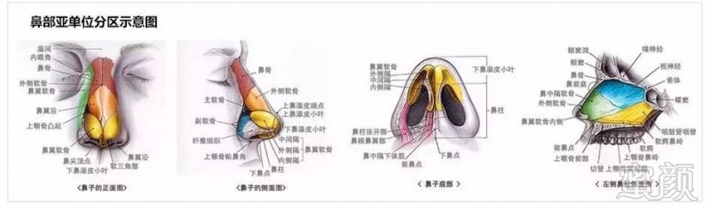 案例图片