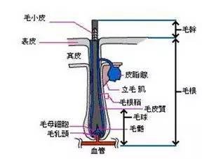 案例图片