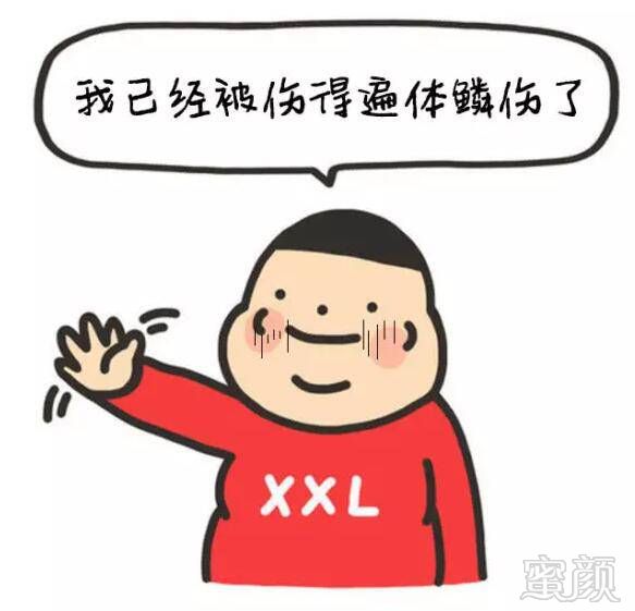 案例图片