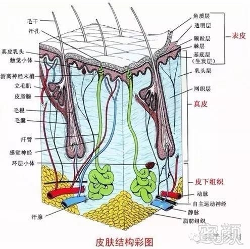 案例图片