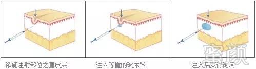 https://img.miyanlife.com/timg/160807/2211455V2-5.jpg