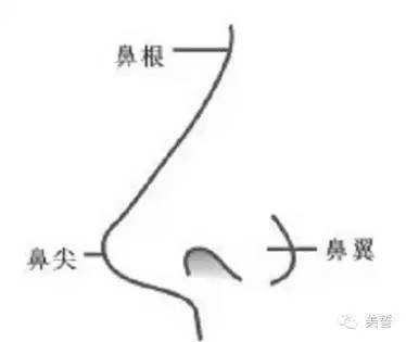 https://img.miyanlife.com/timg/160824/1403526134-11.jpg