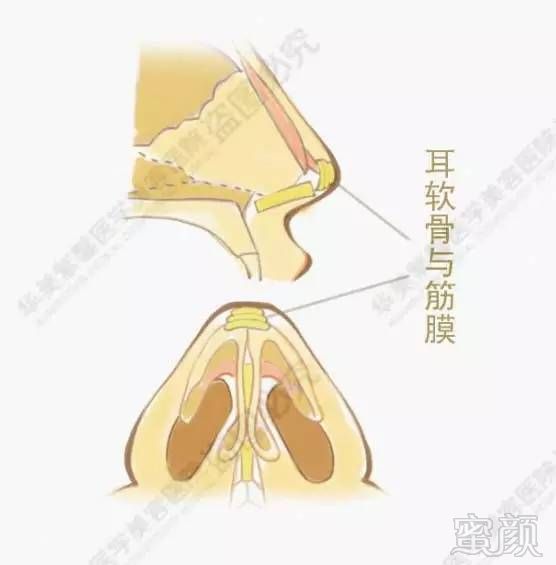 https://img.miyanlife.com/timg/160831/002Q61918-5.jpg