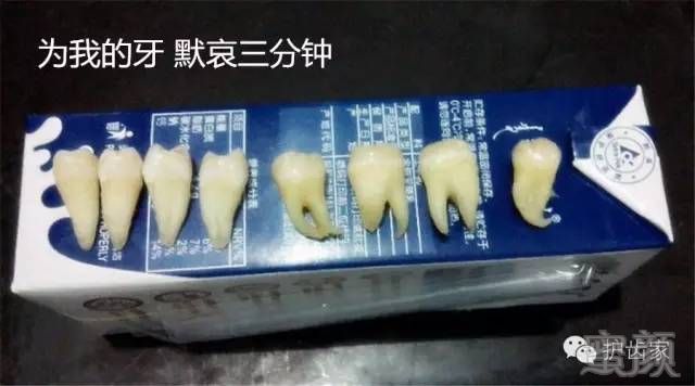 https://img.miyanlife.com/timg/160903/19555A5R-1.jpg